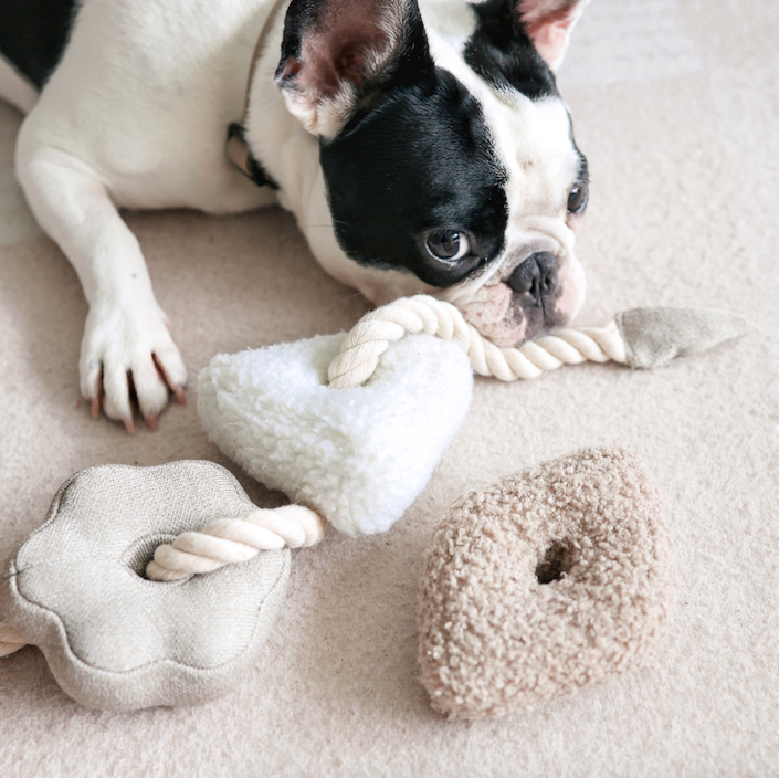 Plush Blocs Dog Toy