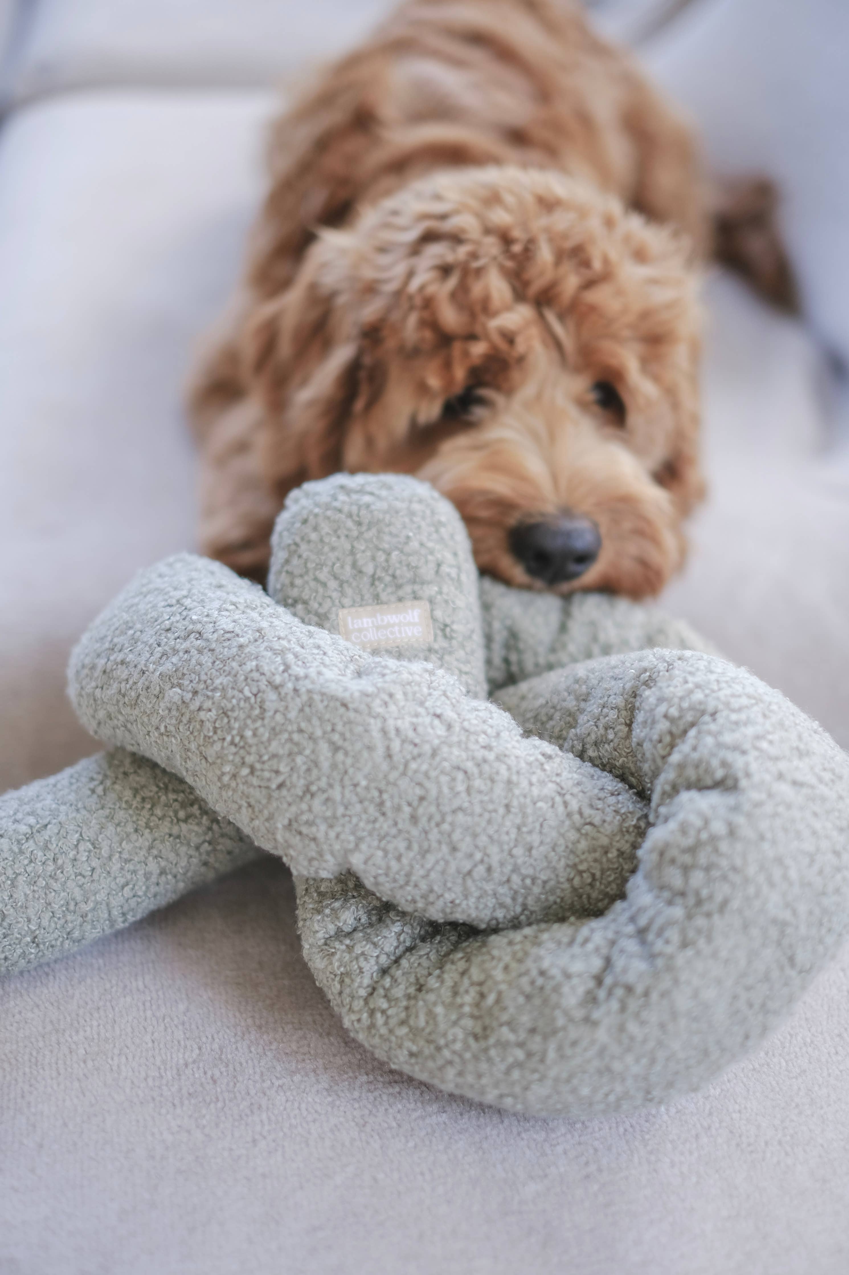 Large Noodle Plush for Dogs