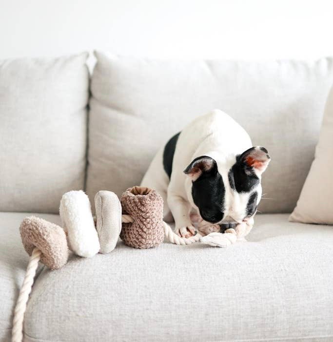 Plush Blocs Dog Toy