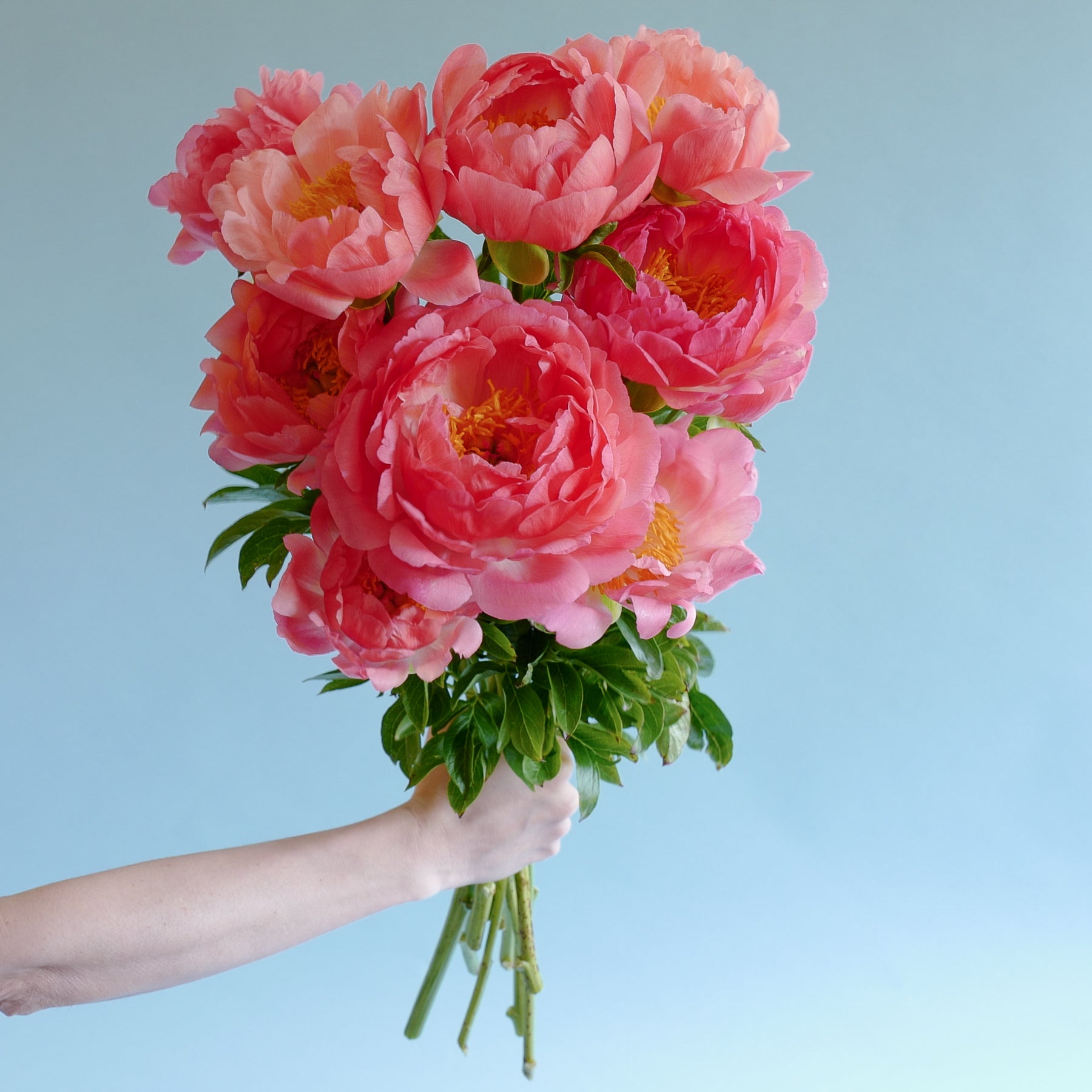 Peony Bouquet