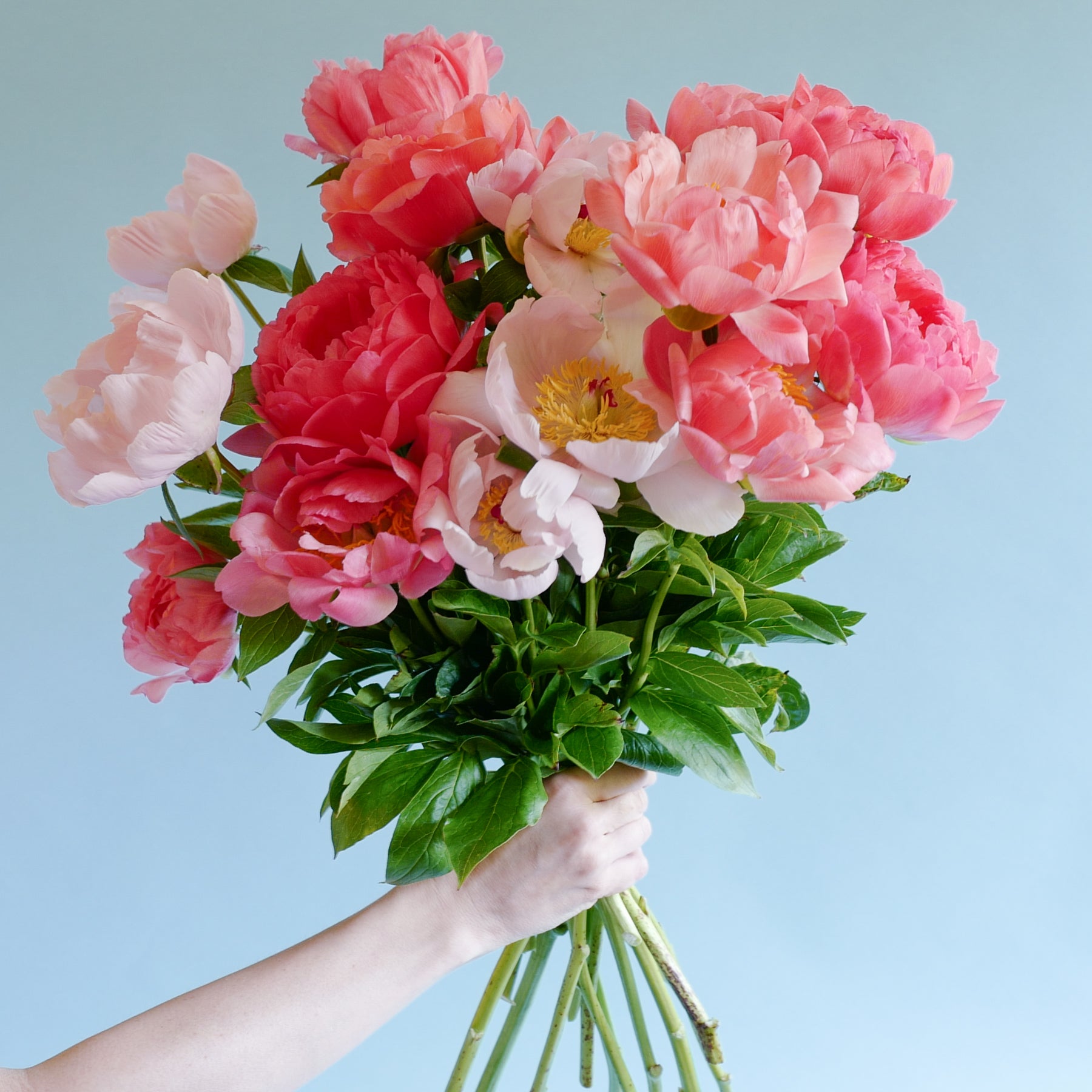 Peony Bouquet