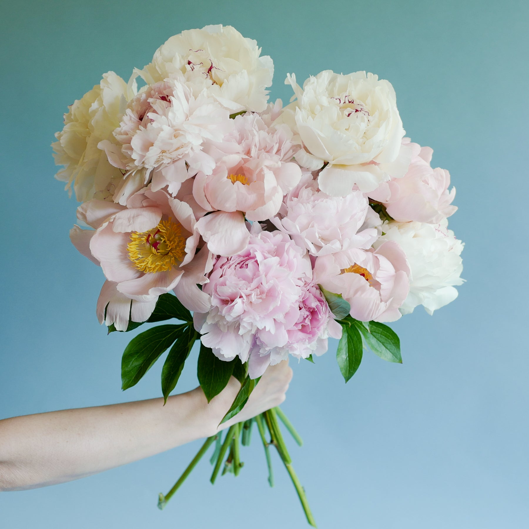 Peony Bouquet