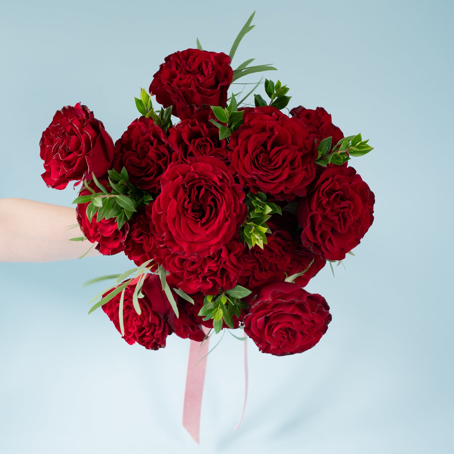 More Passion Roses