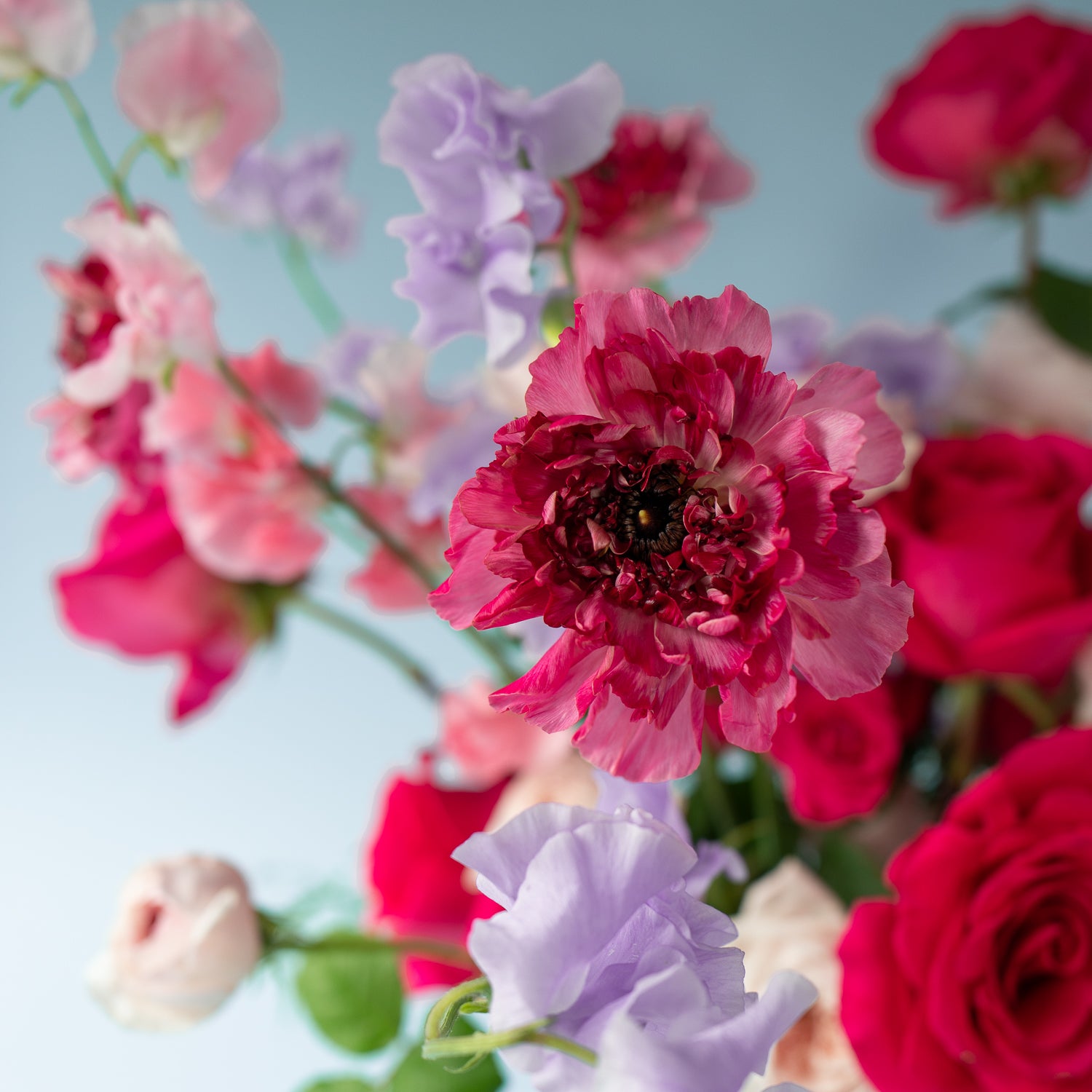 Garden of Love