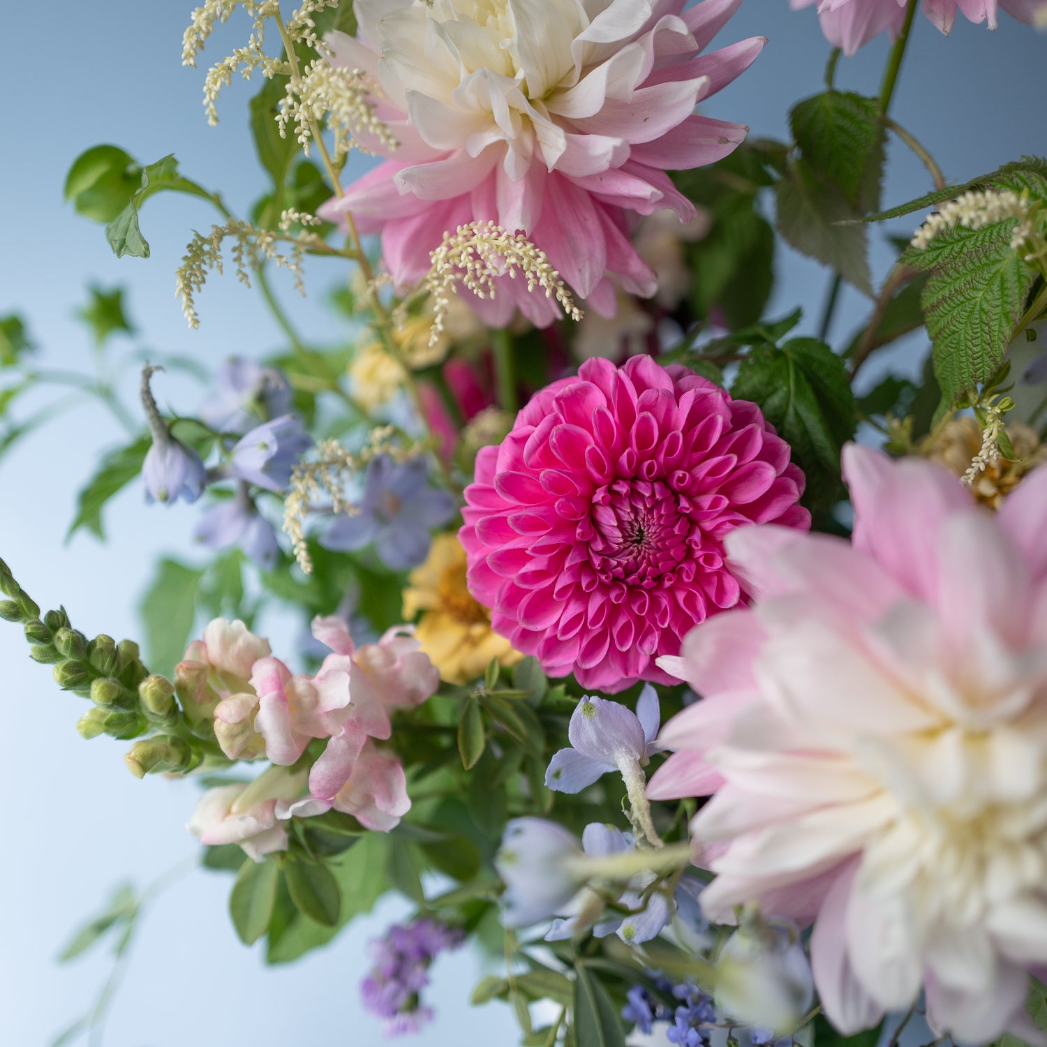 Love in a Mist flower arrangement designed in a stylish, white ceramic vase. Available for local delivery throughout Portland, Oregon