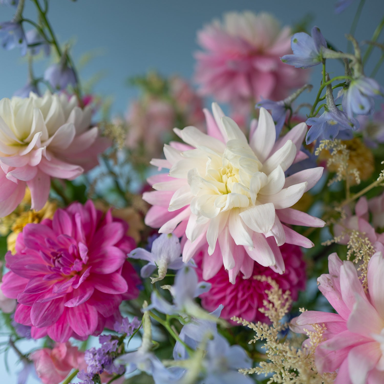 Love in a Mist flower arrangement designed in a stylish, white ceramic vase. Available for local delivery throughout Portland, Oregon