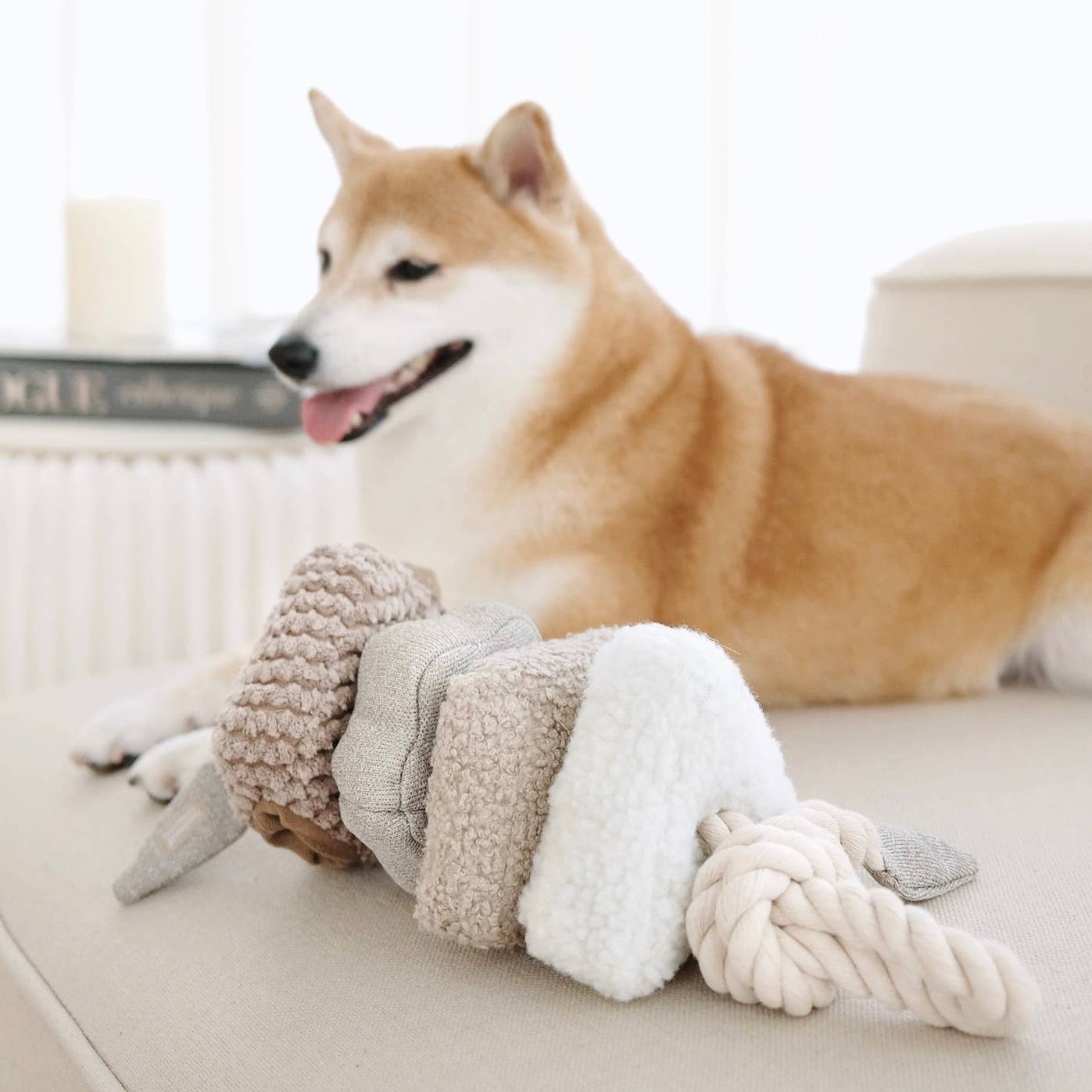 Plush Blocs Dog Toy