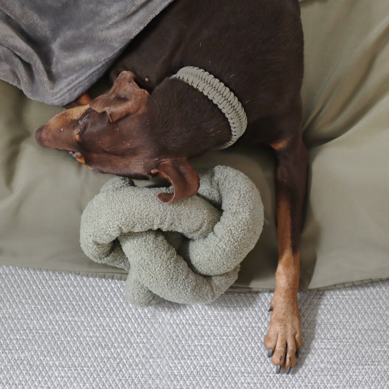 Large Noodle Plush for Dogs